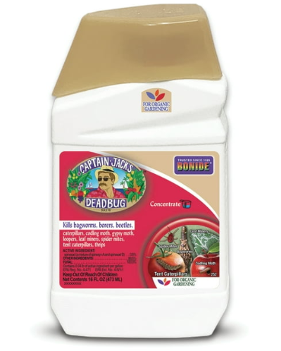 Captain Jack's Dead Bug, Ready-To-Use, Quart-Fresh Start Growers Supply