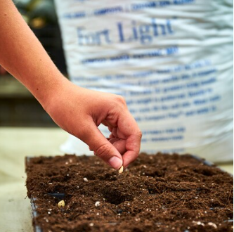 Vermont Compost Fort Light Pre-Order Pallet 45 QT Bags (36 bags)-Fresh Start Growers Supply