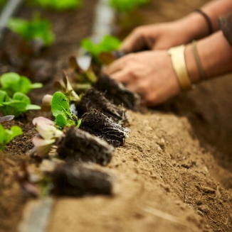 Vermont Compost Fort Vee 45 QT Bag-Fresh Start Growers Supply