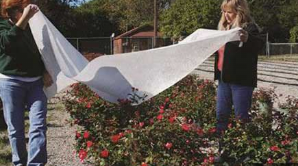 Deluxe Frost Blanket by DeWitt, 6' x 50'-Fresh Start Growers Supply