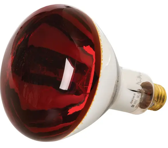 Heat Lamp Bulb, Red, Heavy duty 250 Watt-Fresh Start Growers Supply