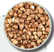 Buckwheat 50 lbs.-Fresh Start Growers Supply
