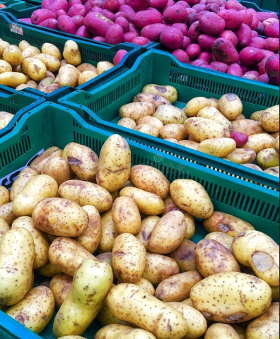Potato, Organic, 50#-Fresh Start Growers Supply
