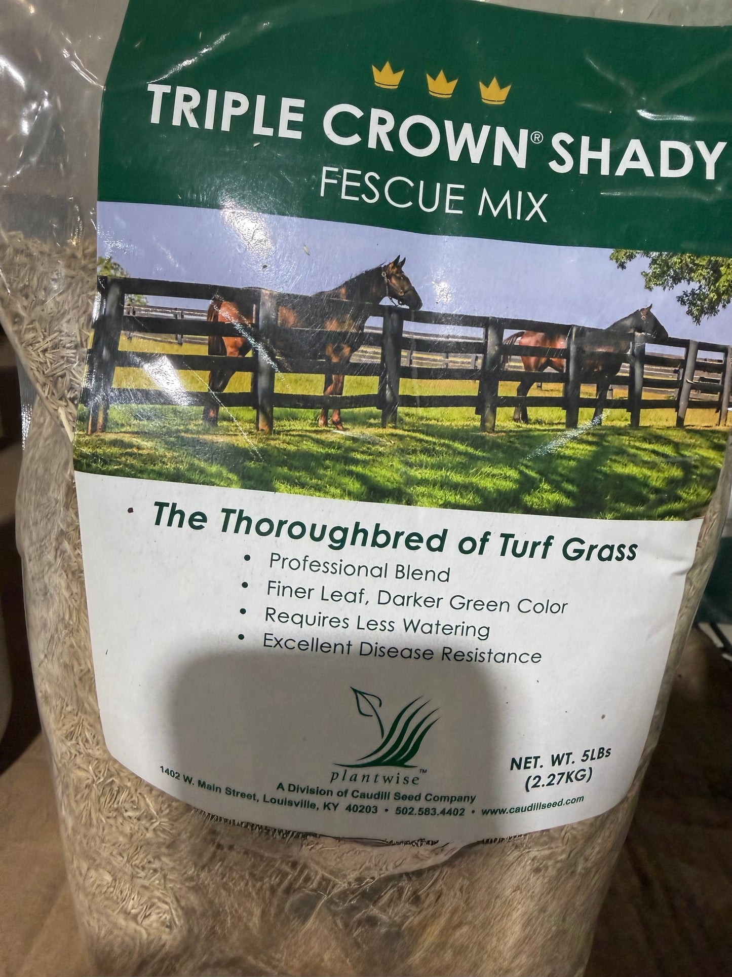 Triple Crown Fescue, Shady, 5#