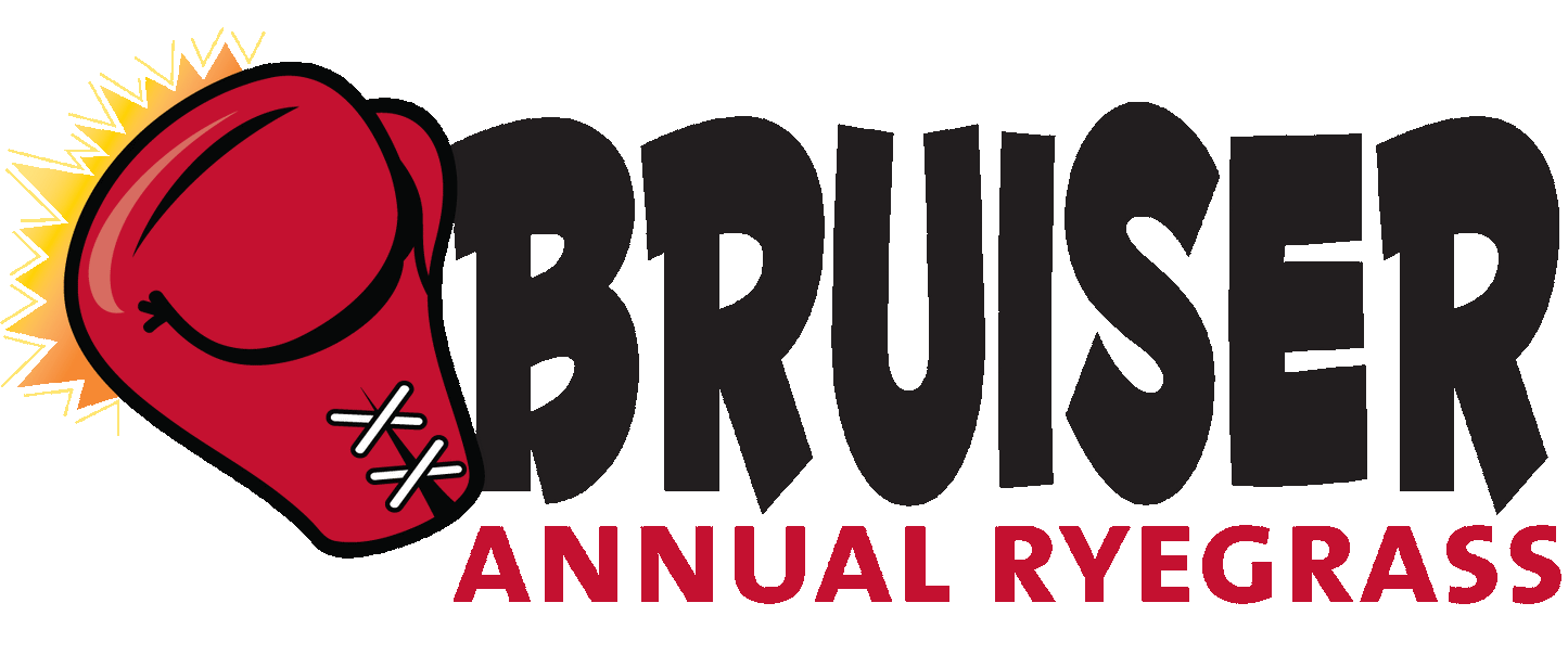 Bruiser Annual Rye, 50 lb-Fresh Start Growers Supply