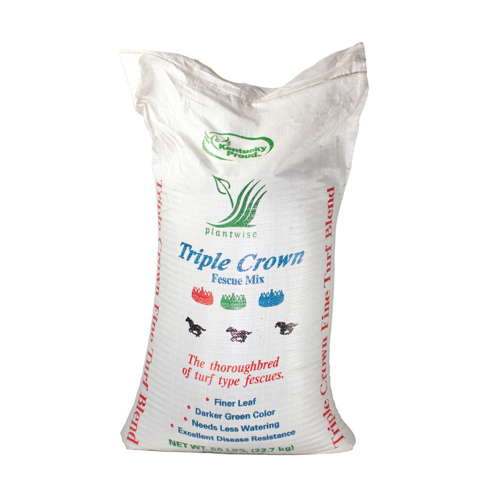 Triple Crown Fescue, Sunny, 25#-Fresh Start Growers Supply