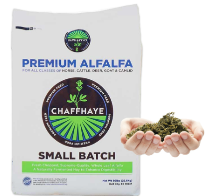 Chaffhaye Fermented Alfalfa, Non-GMO, 50#