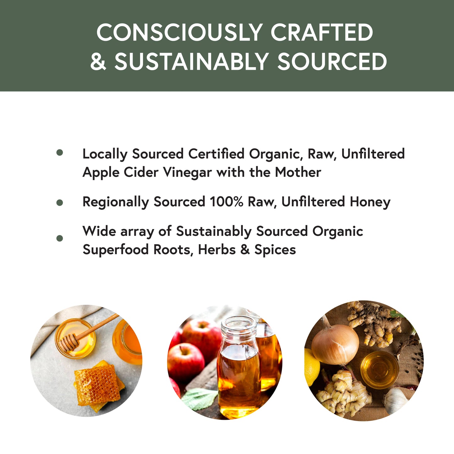 Dandelion Earth Cider Raw ACV Wellness Detox Tonic