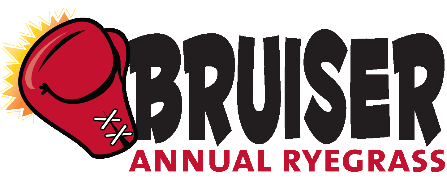 Bruiser Annual Rye, 50 lb