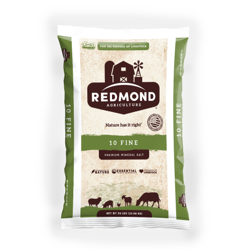 Redmond #10 Garlic Salt, 50#